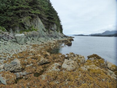 Sentinel Lighthouse photo1